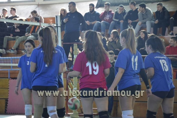 volley_1o-alexandreias-melikis2018 (60)